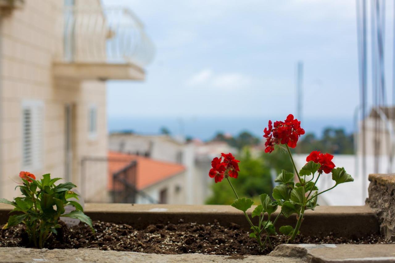Serious Job Apartment Dubrovnik Ngoại thất bức ảnh